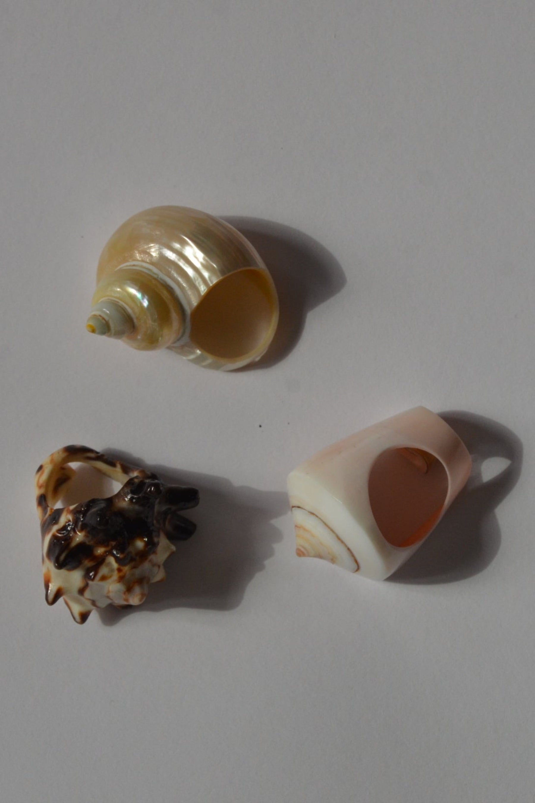 Three shell rings on a plain surface