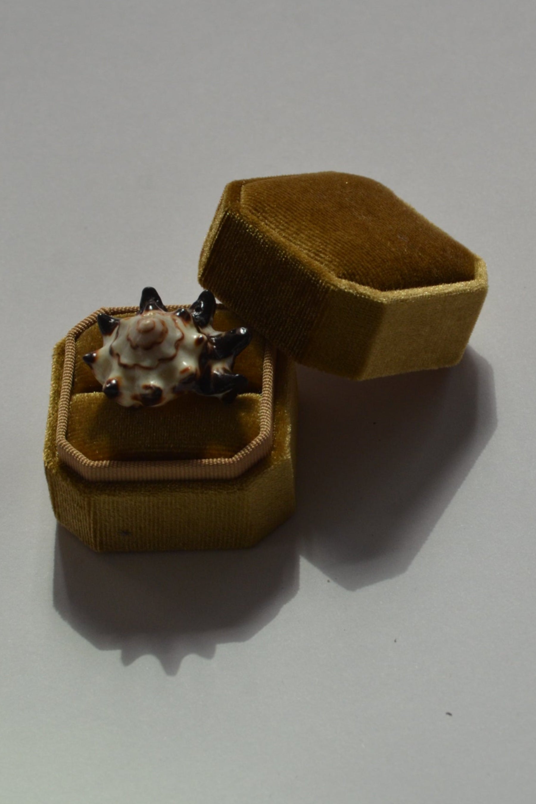 shell ring inside an open brown velvet jewelry box on a white background